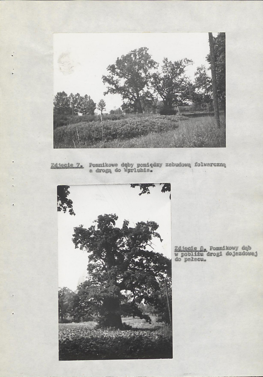 EP - Ewidencja parkowa, skan nr 25