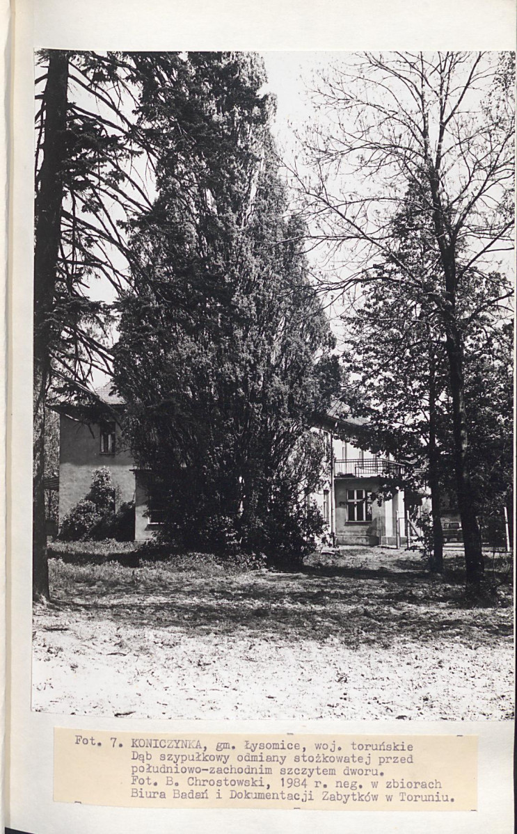 EP - Ewidencja parkowa, skan nr 29