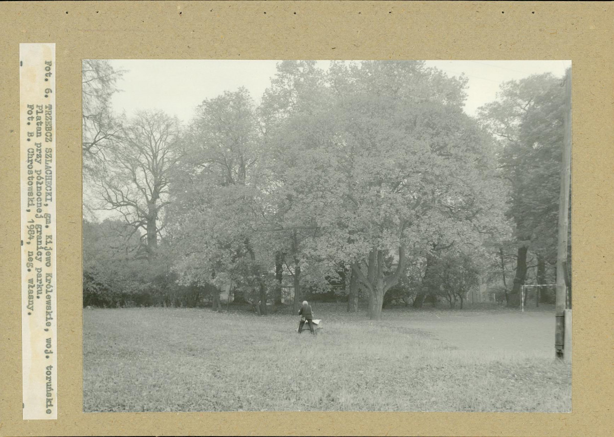 EP - Ewidencja parkowa, skan nr 27