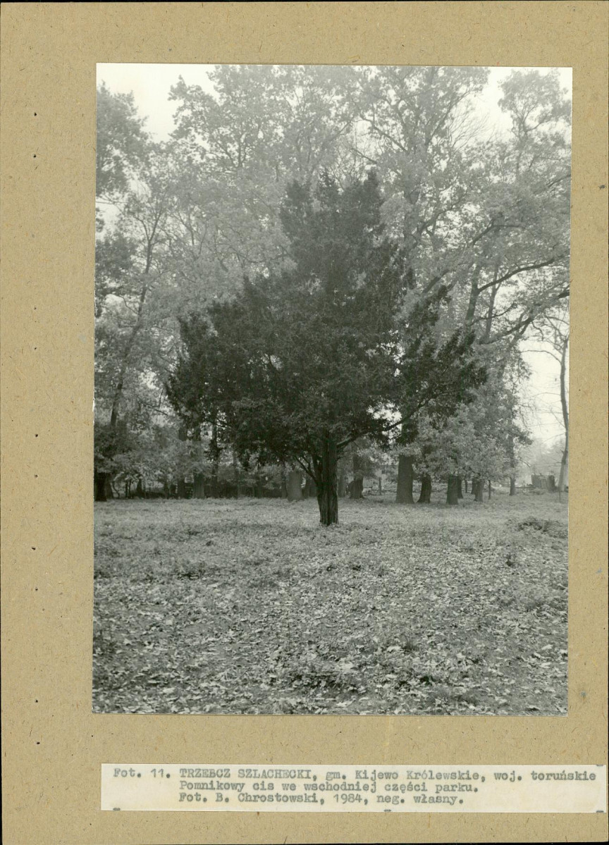 EP - Ewidencja parkowa, skan nr 32