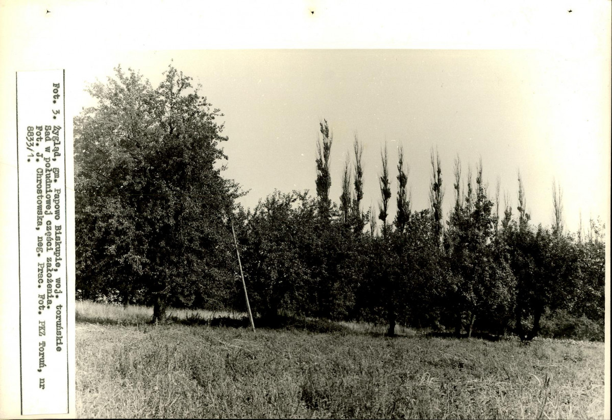 EP - Ewidencja parkowa, skan nr 20