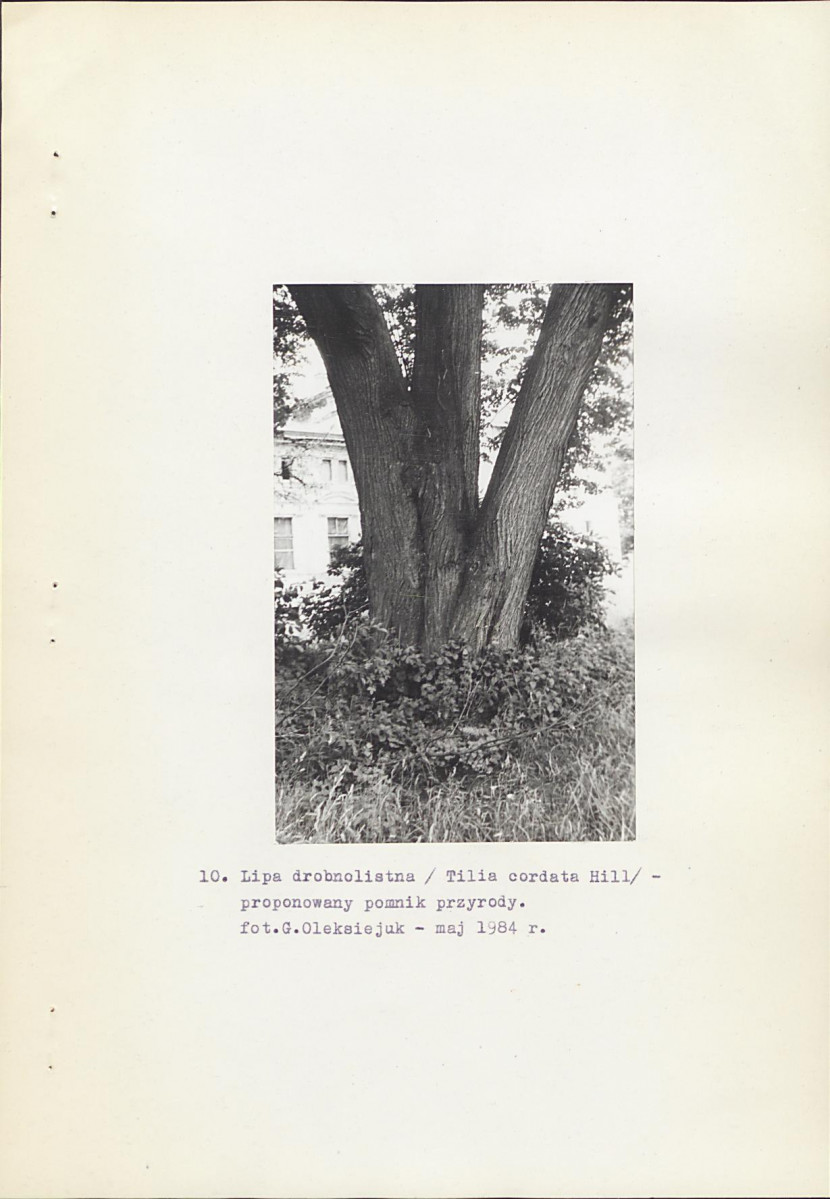 Ewidencja parkowa, skan nr 22