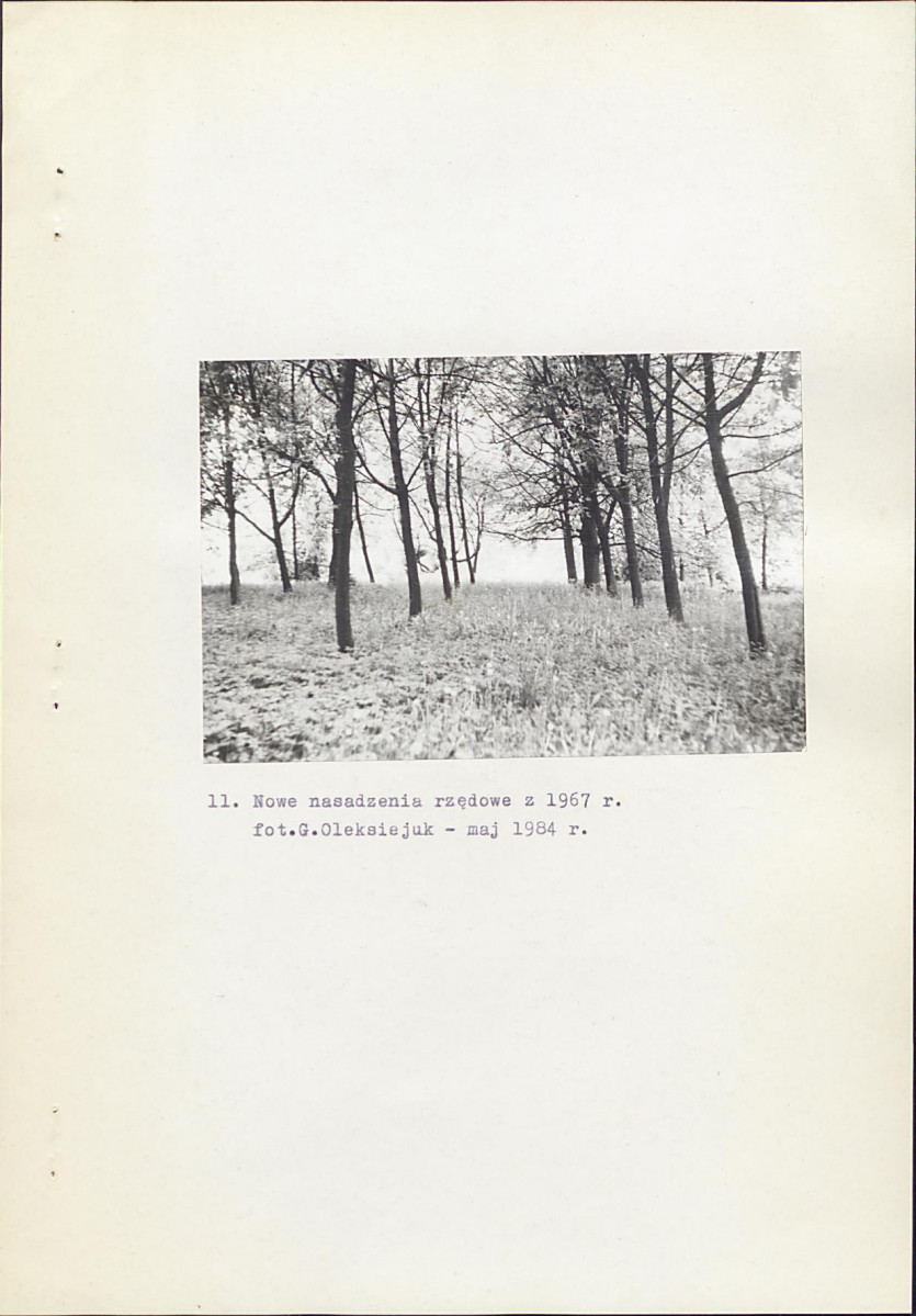 Ewidencja parkowa, skan nr 23
