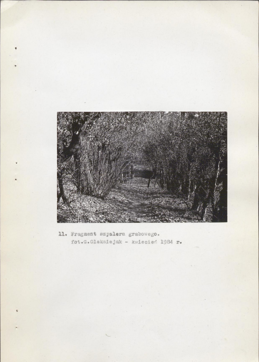 EP - Ewidencja parkowa, skan nr 22