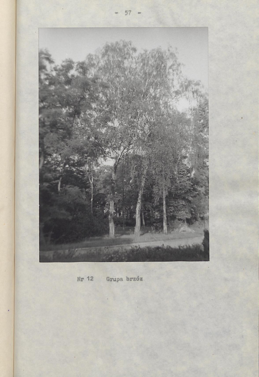 Ewidencja parkowa, skan nr 62