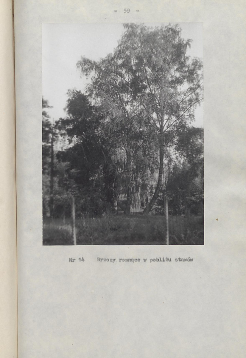 Ewidencja parkowa, skan nr 64