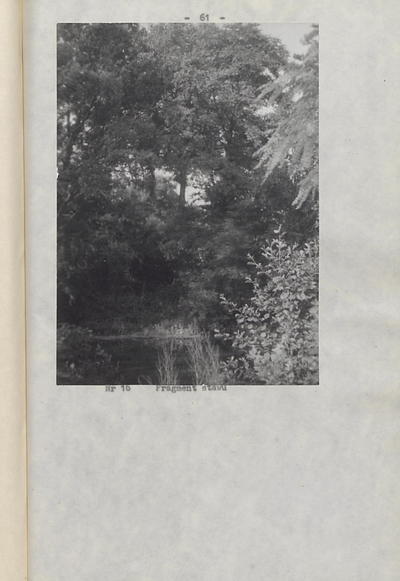 Ewidencja parkowa, skan nr 66