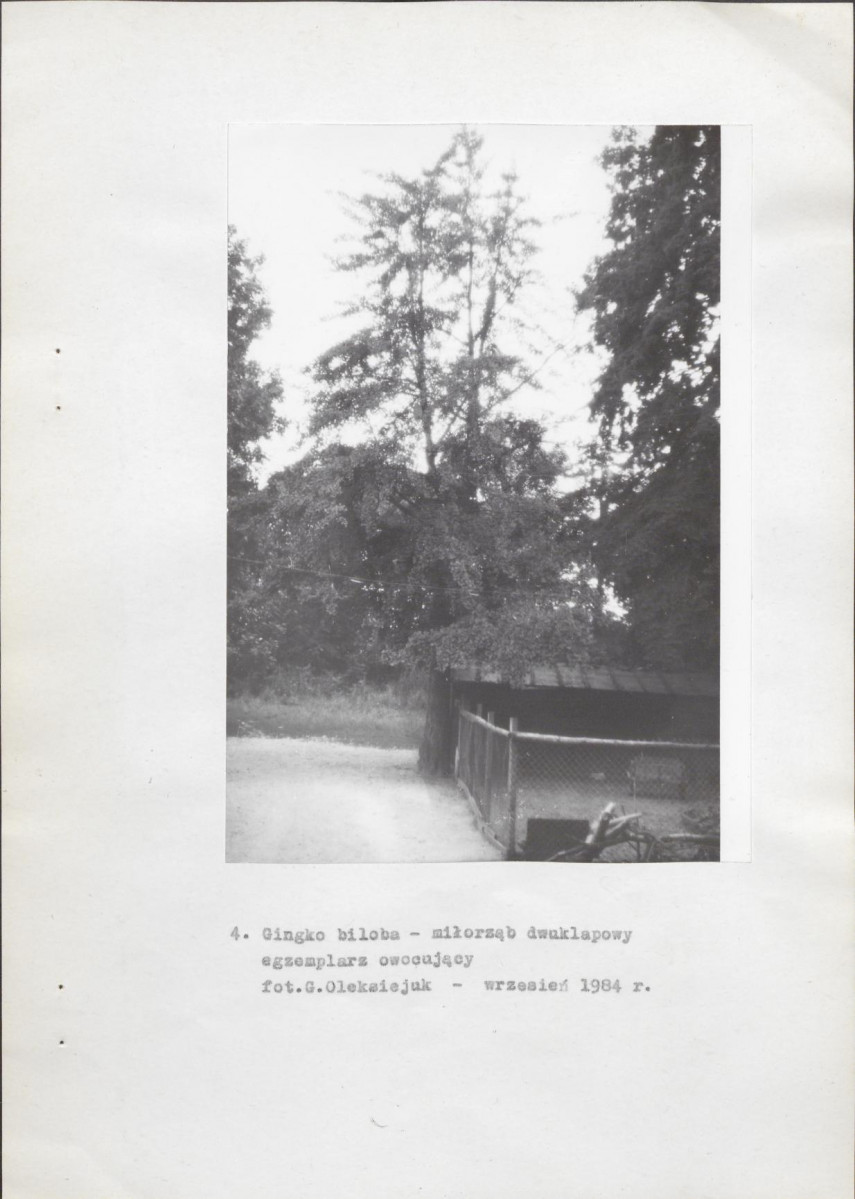 EP - Ewidencja parkowa, skan nr 21