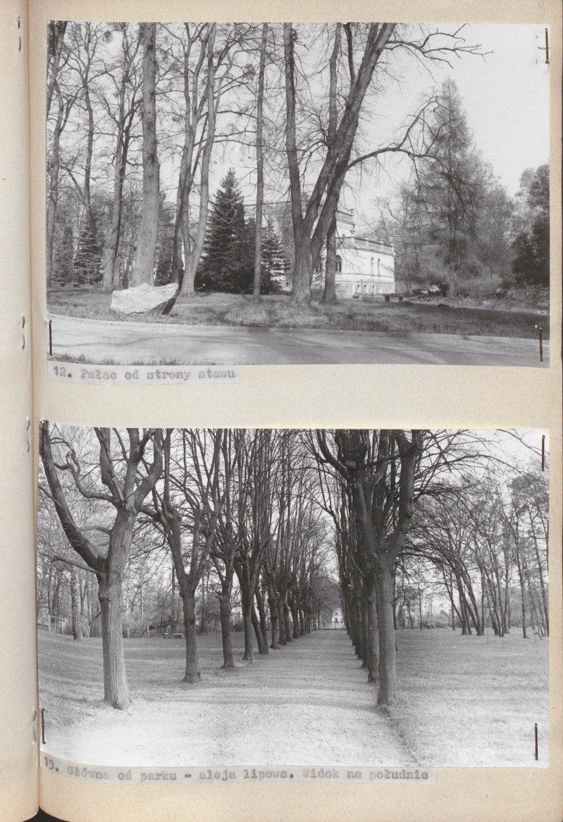 Ewidencja parkowa, skan nr 48