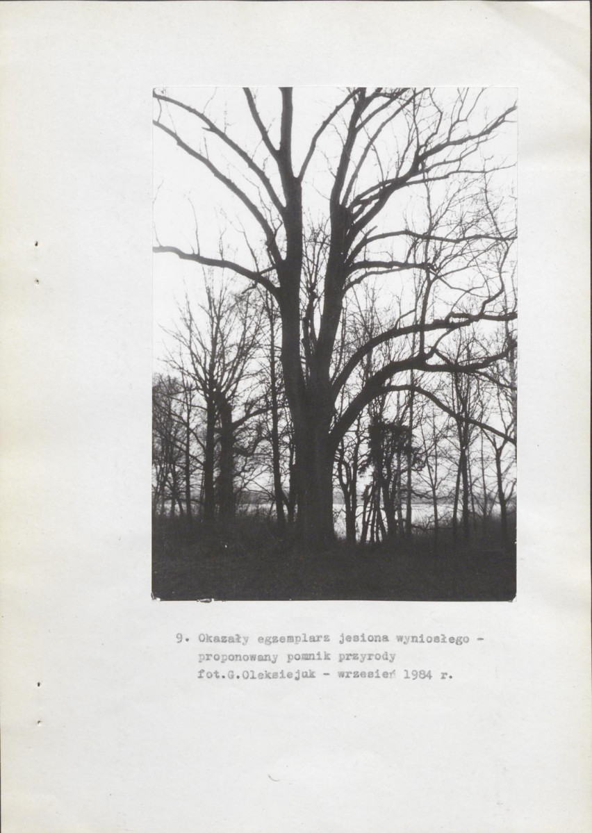 EP - Ewidencja parkowa, skan nr 26