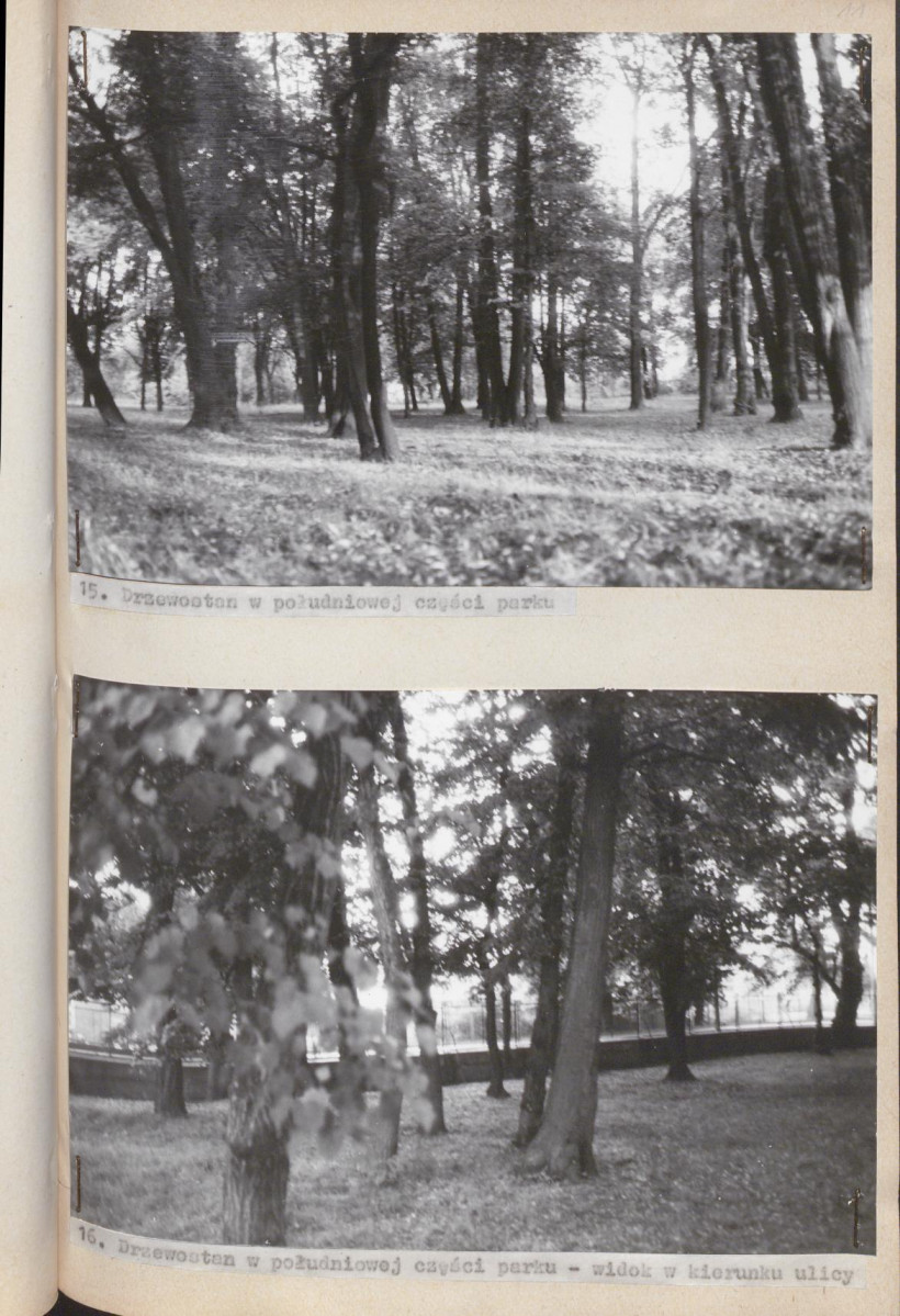 Ewidencja parkowa, skan nr 50