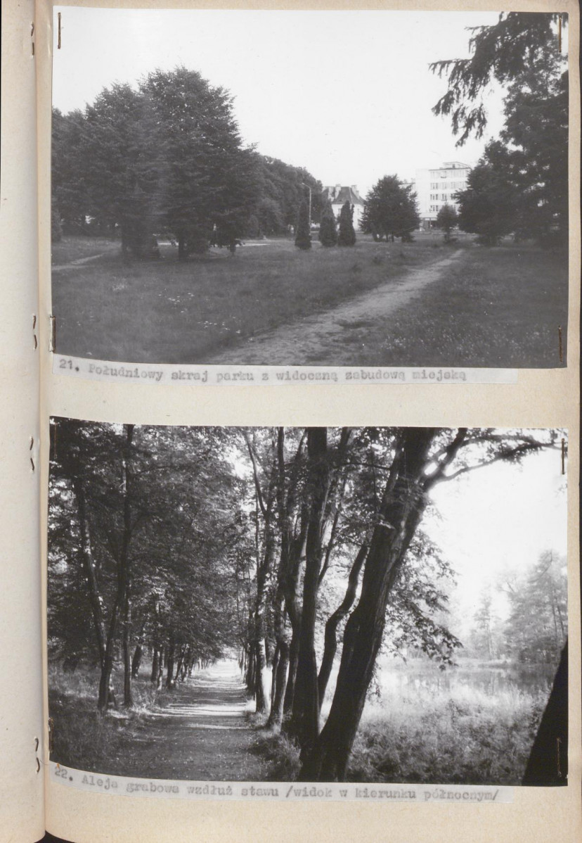Ewidencja parkowa, skan nr 53