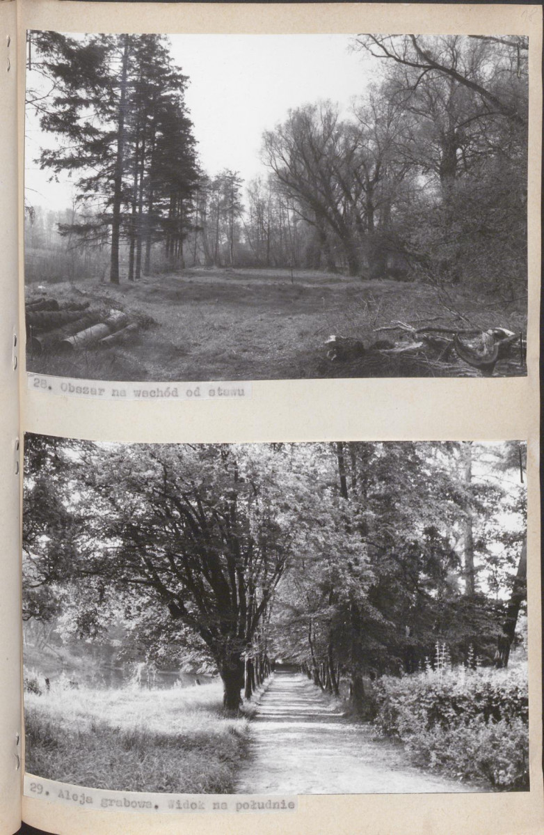 Ewidencja parkowa, skan nr 57