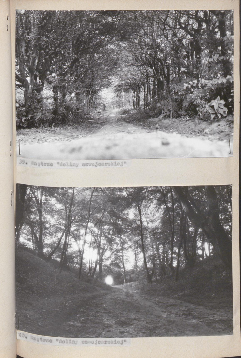 Ewidencja parkowa, skan nr 63