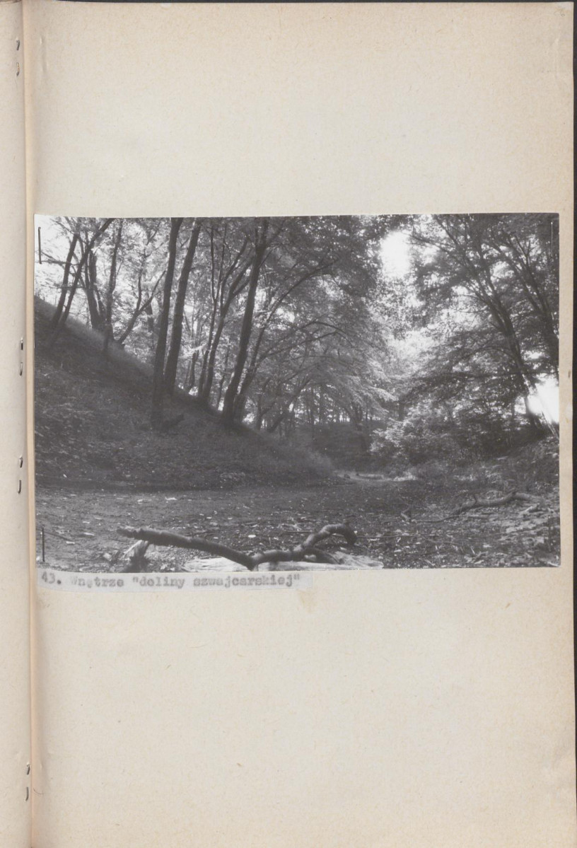 Ewidencja parkowa, skan nr 65