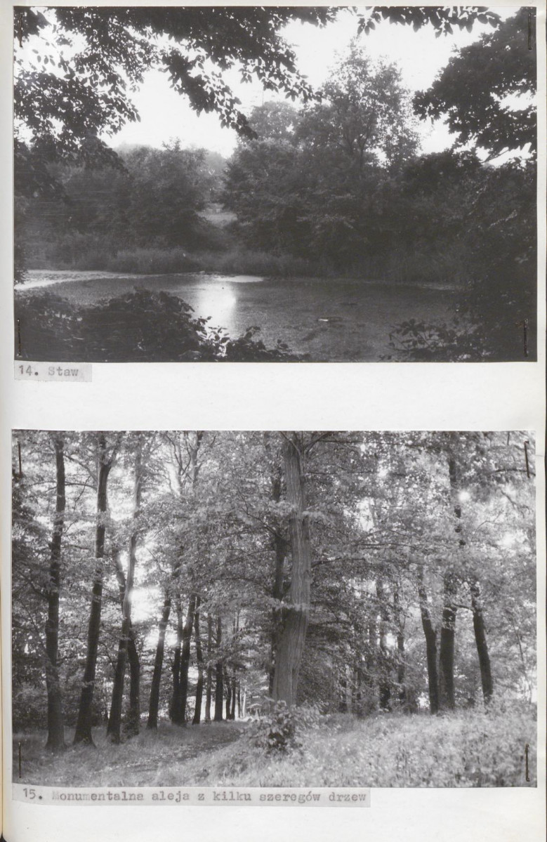 EP - Ewidencja parkowa, skan nr 34