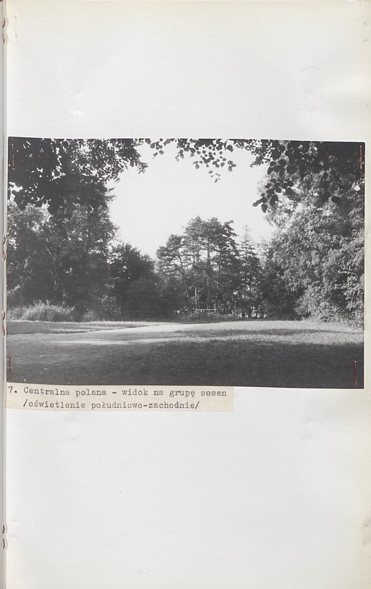 Ewidencja parkowa, skan nr 45