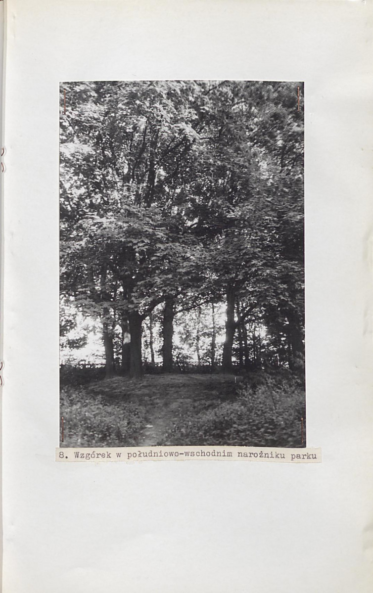 Ewidencja parkowa, skan nr 46