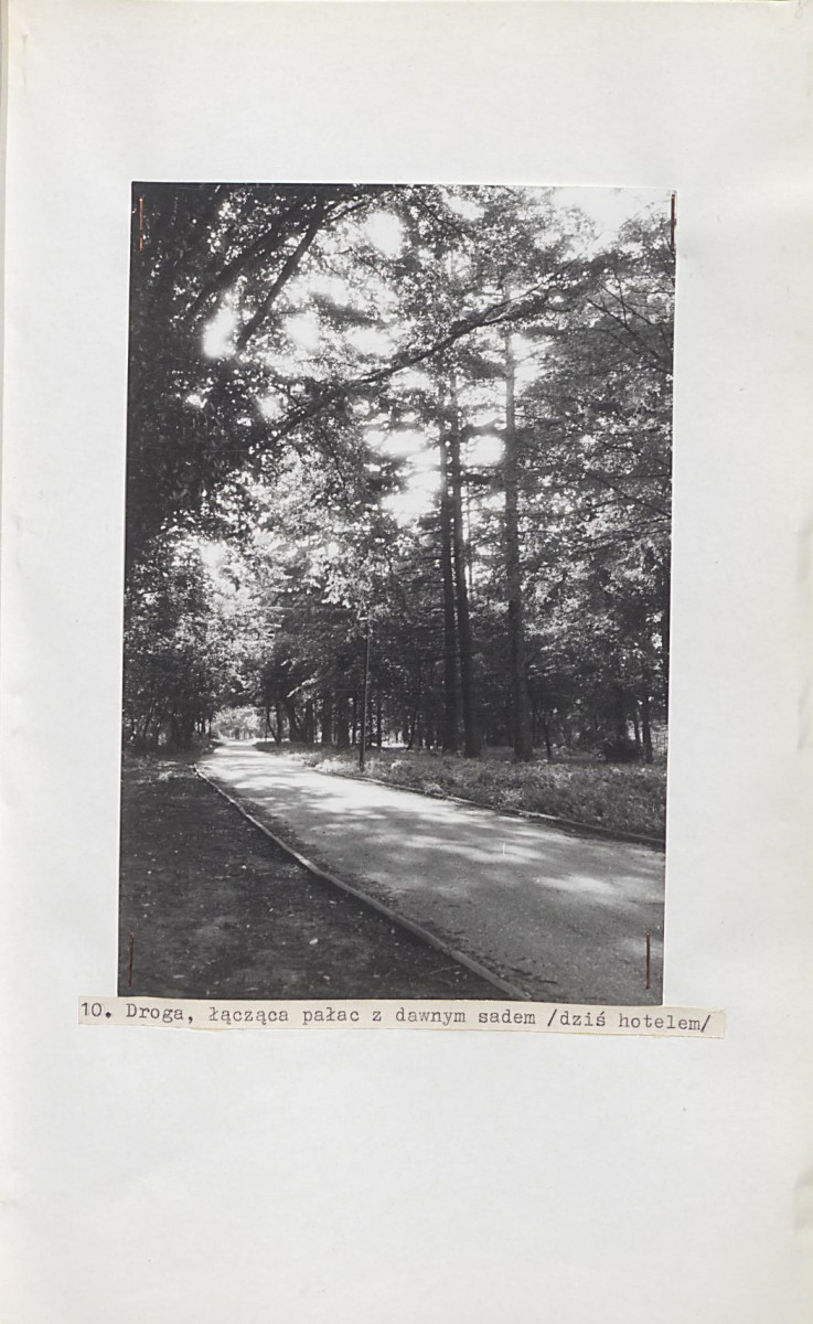 Ewidencja parkowa, skan nr 48