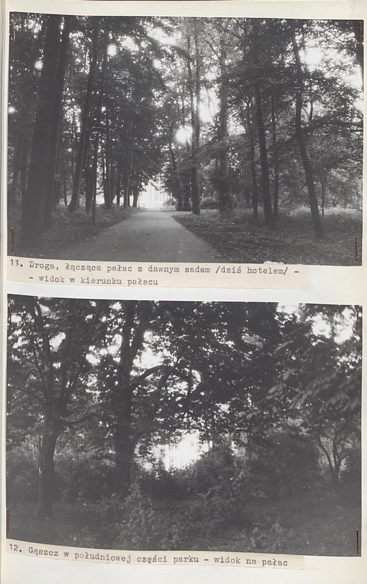 Ewidencja parkowa, skan nr 49