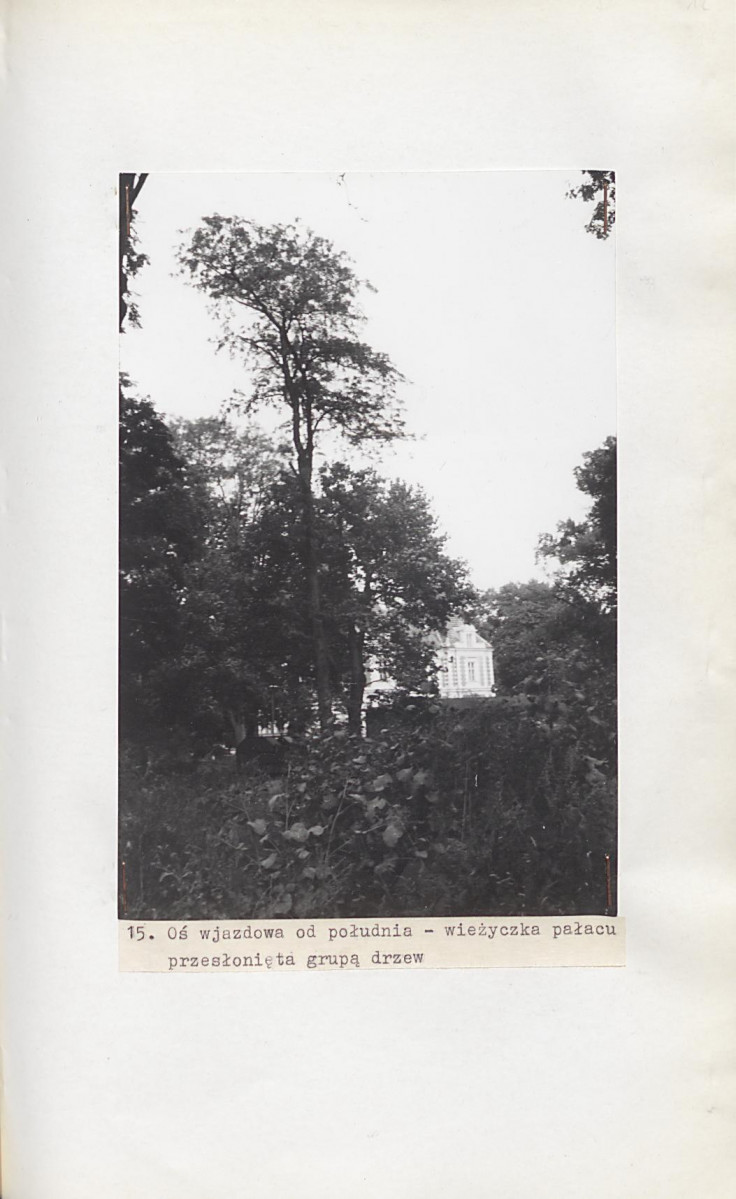Ewidencja parkowa, skan nr 52