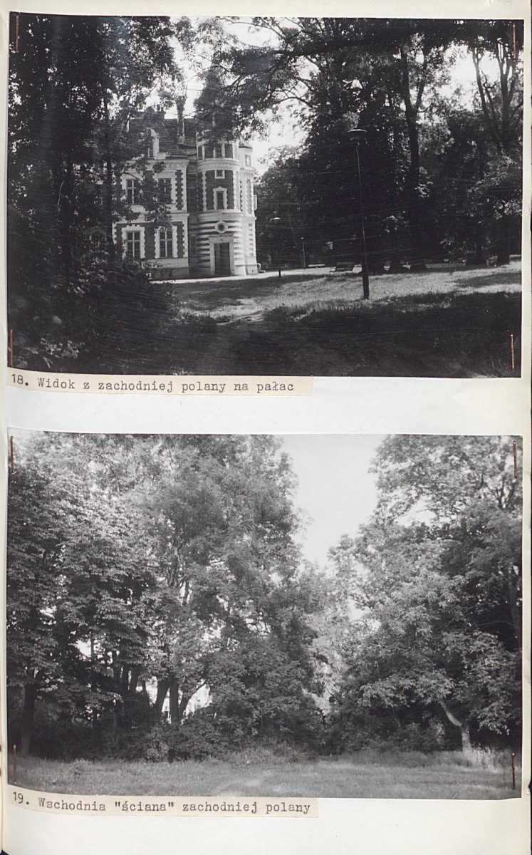 Ewidencja parkowa, skan nr 54
