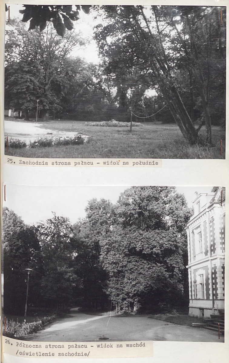 Ewidencja parkowa, skan nr 58