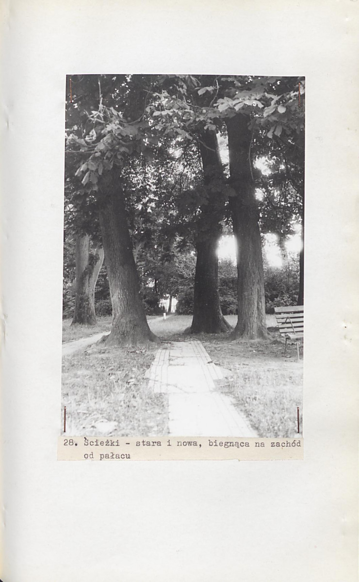 Ewidencja parkowa, skan nr 60