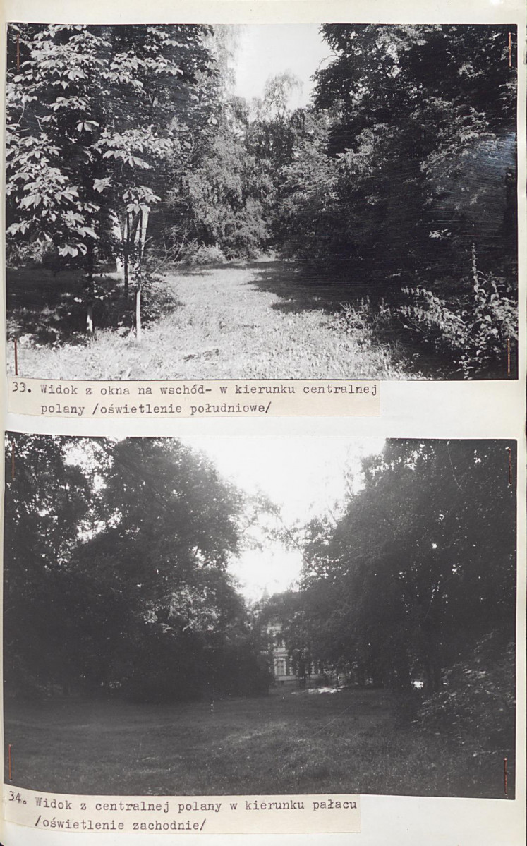 Ewidencja parkowa, skan nr 65