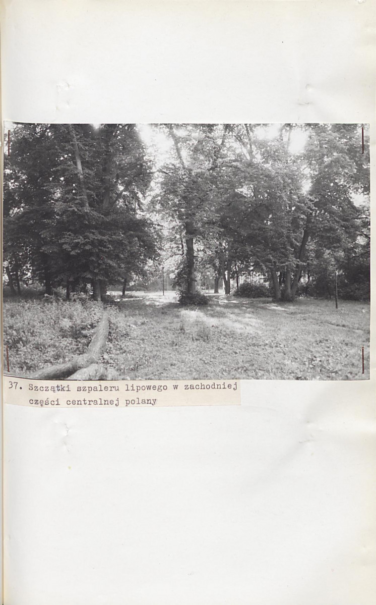 Ewidencja parkowa, skan nr 68