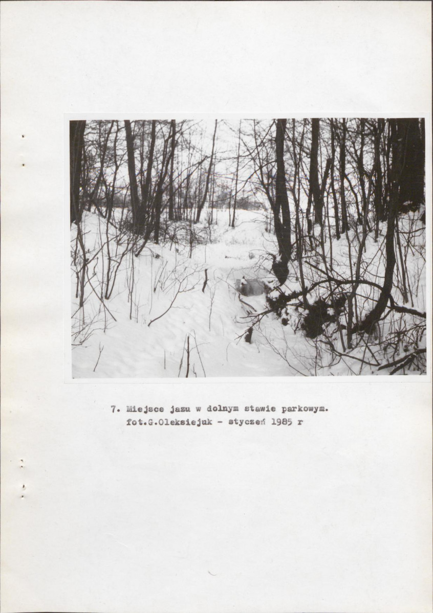 Ewidencja parkowa, skan nr 26