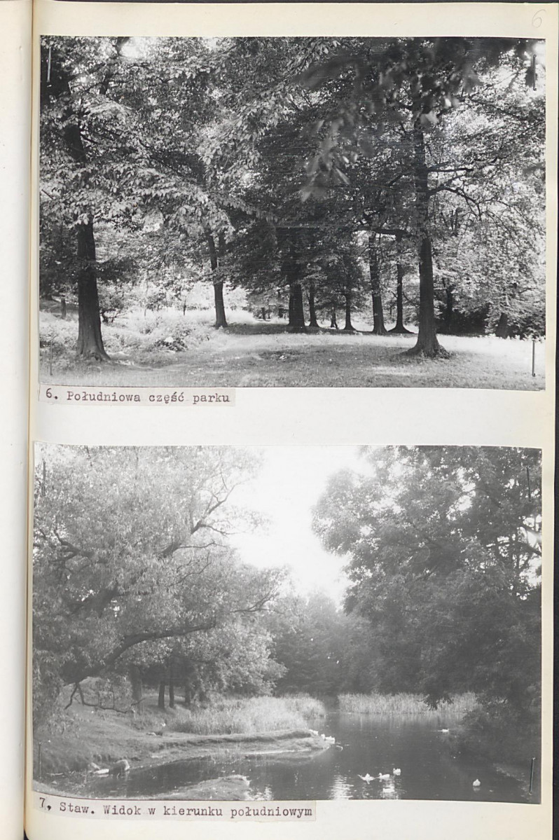 Ewidencja parkowa, skan nr 35