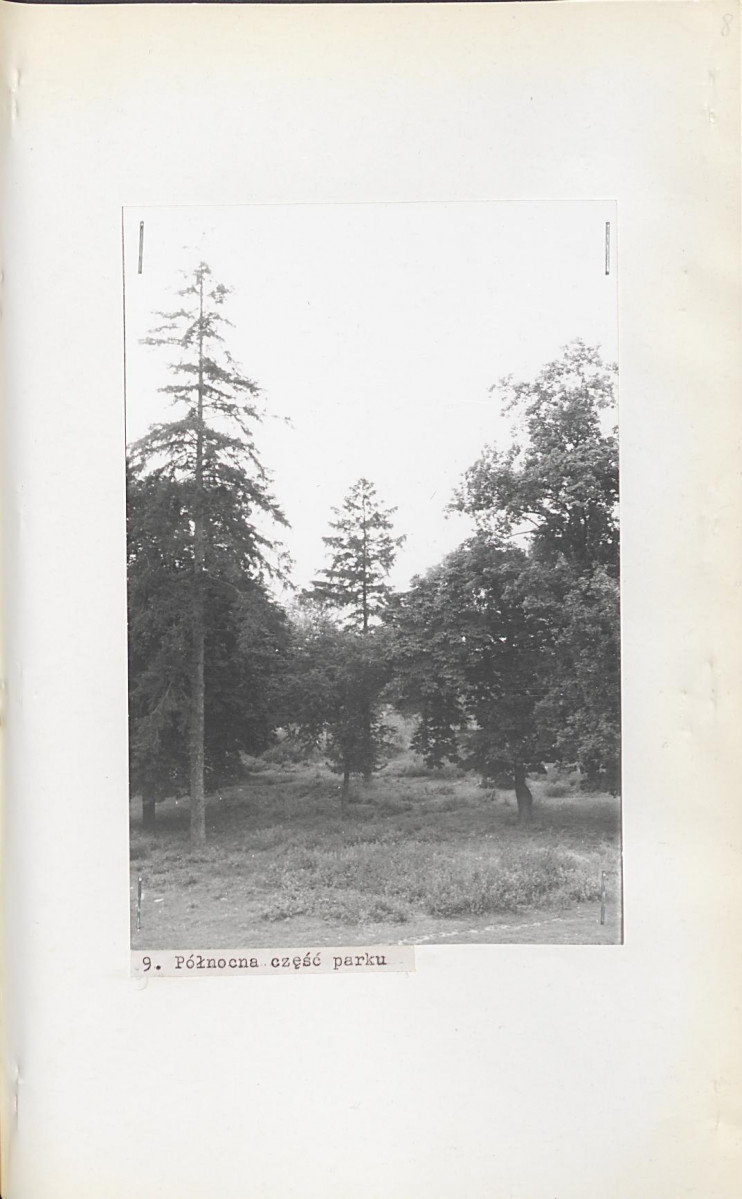 Ewidencja parkowa, skan nr 37
