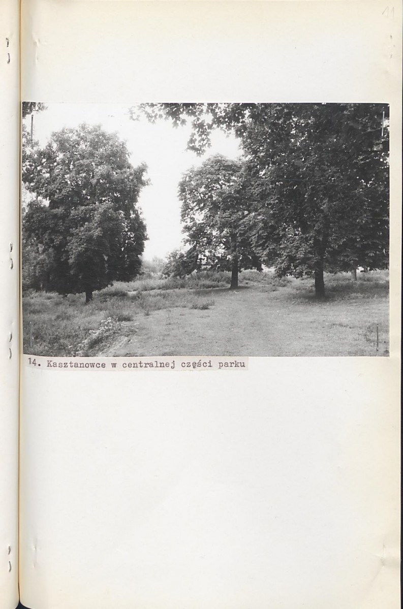 Ewidencja parkowa, skan nr 40