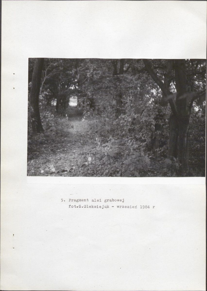 EP - Ewidencja parkowa, skan nr 22