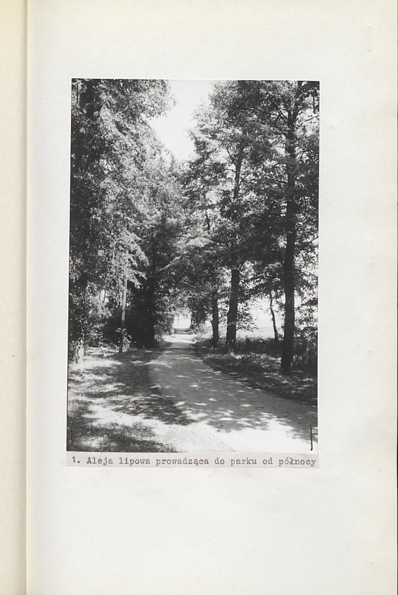 EP - Ewidencja parkowa, skan nr 29