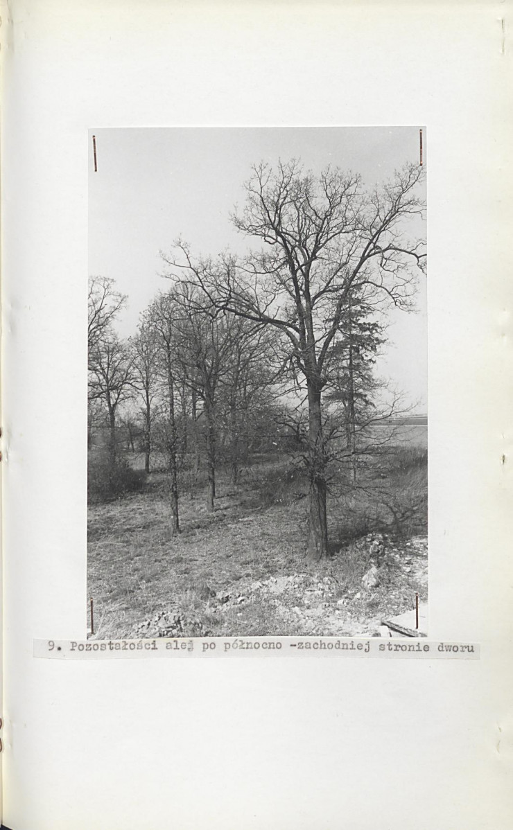 Ewidencja parkowa, skan nr 29