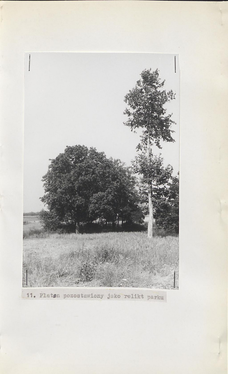 Ewidencja parkowa, skan nr 30