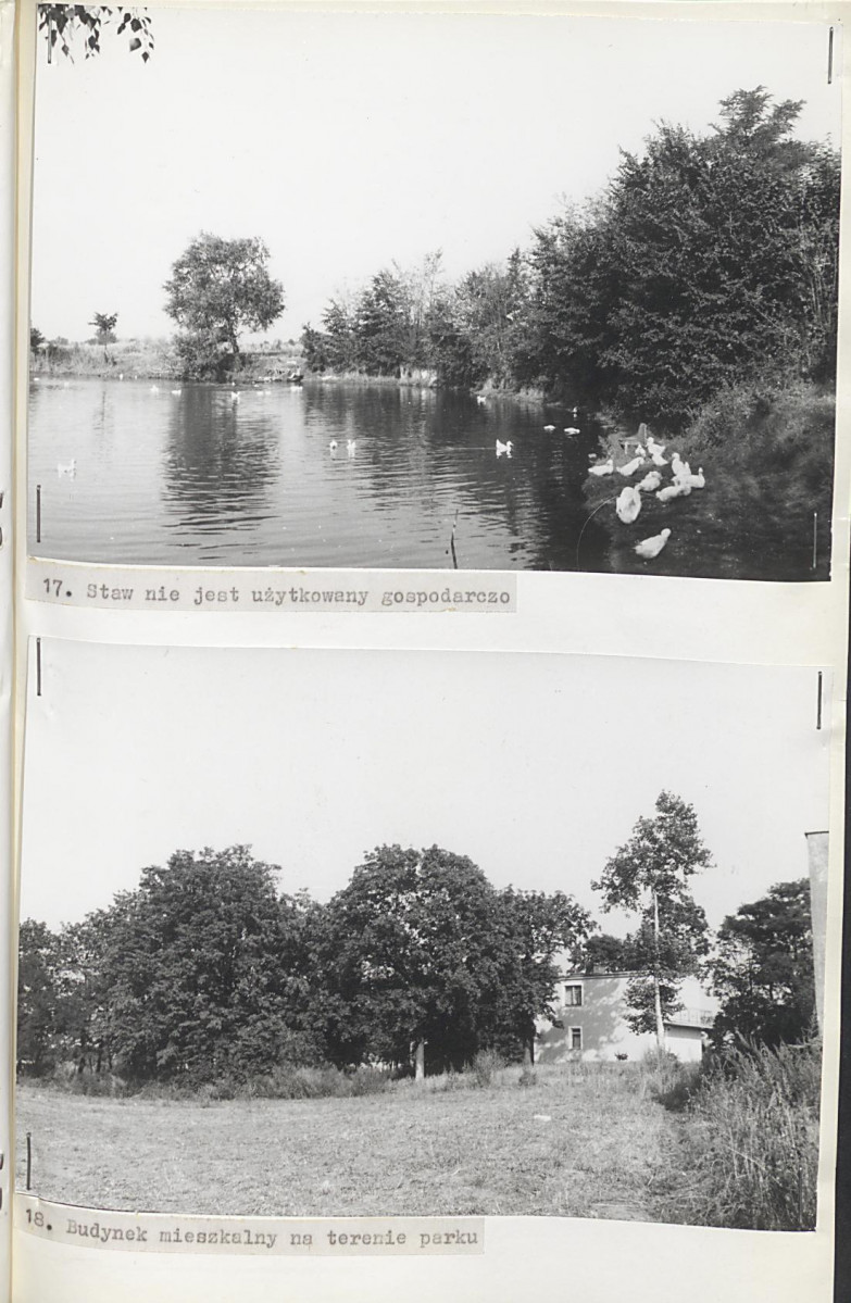 Ewidencja parkowa, skan nr 34