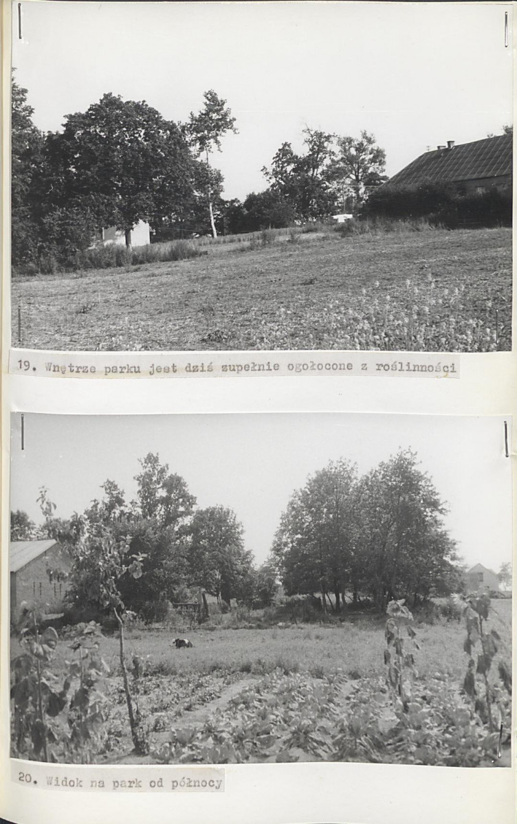 Ewidencja parkowa, skan nr 35