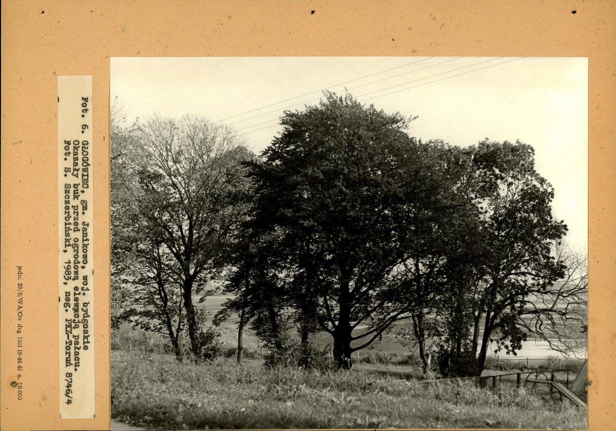 Ewidencja parkowa, skan nr 26