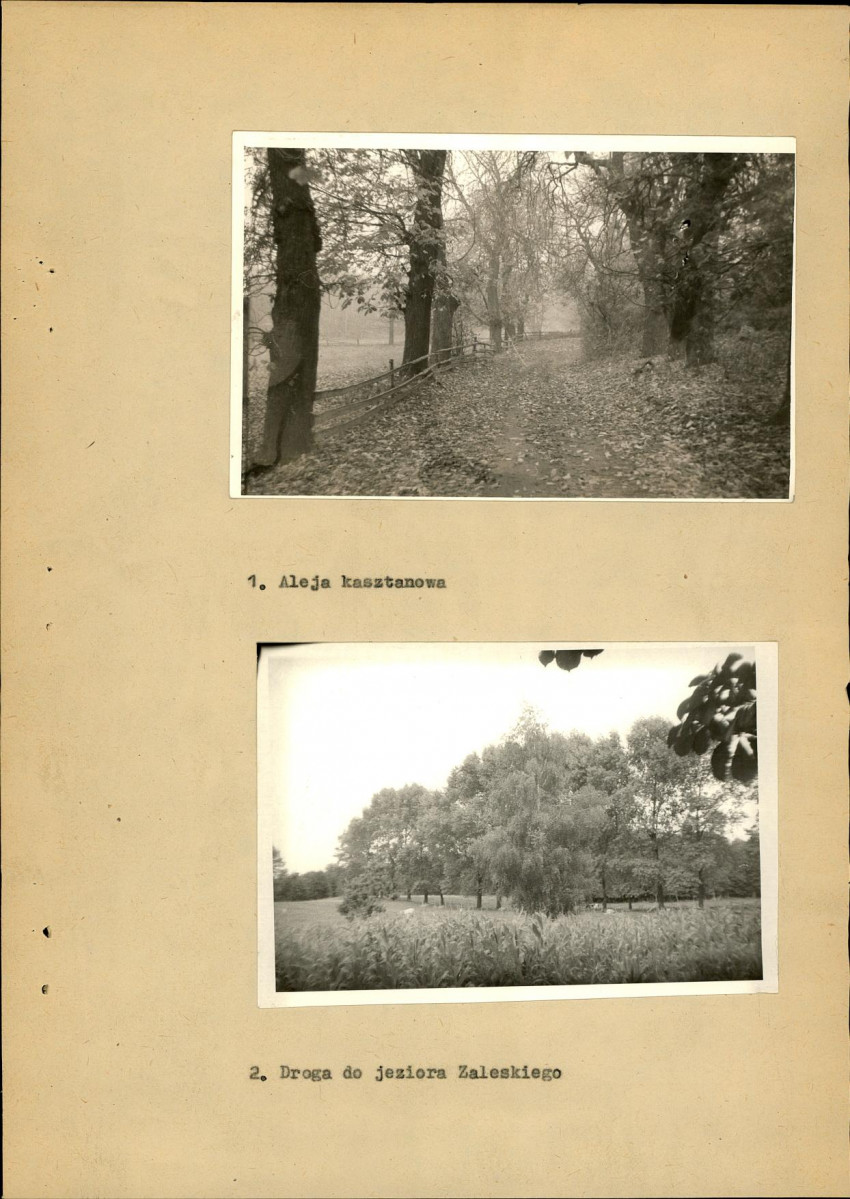 Ewidencja parkowa, skan nr 17