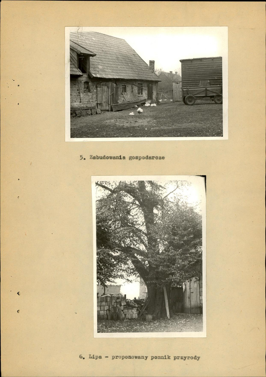 Ewidencja parkowa, skan nr 19