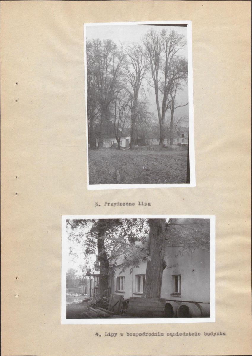 Ewidencja parkowa, skan nr 17