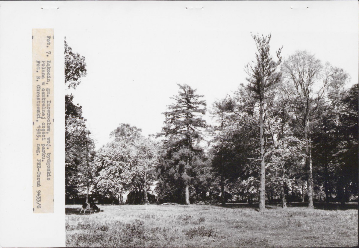 Ewidencja parkowa, skan nr 27