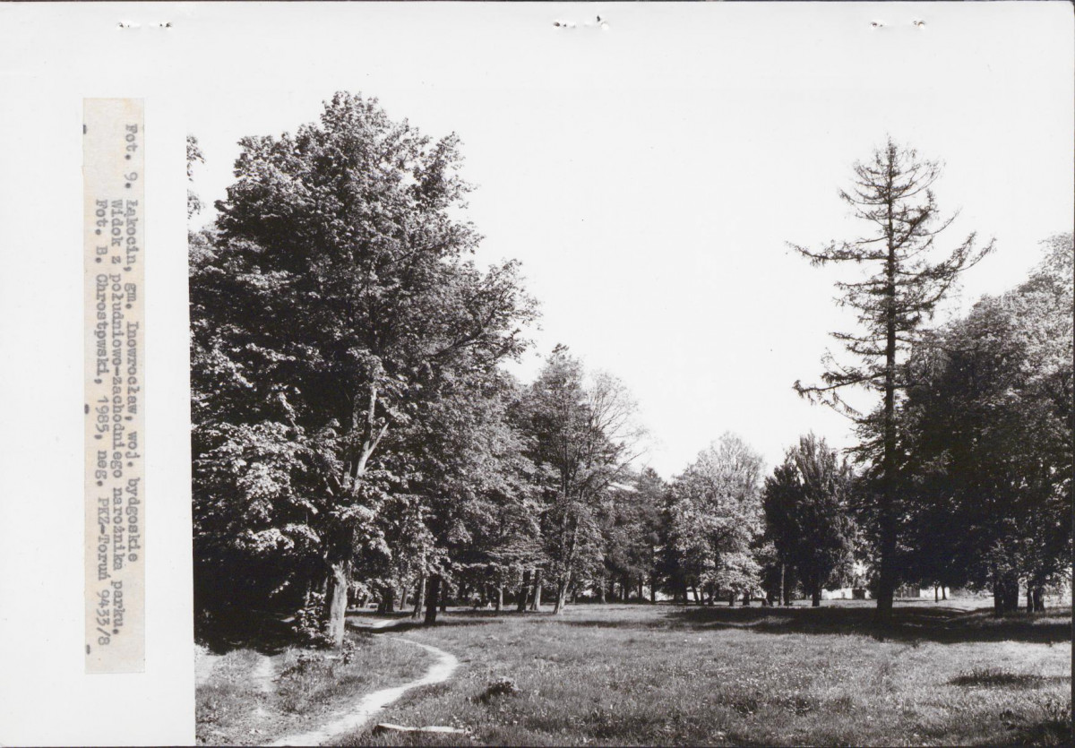 Ewidencja parkowa, skan nr 29