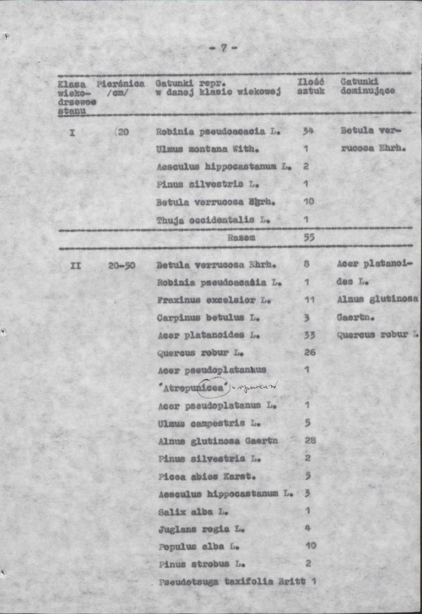 Ewidencja parkowa, skan nr 13
