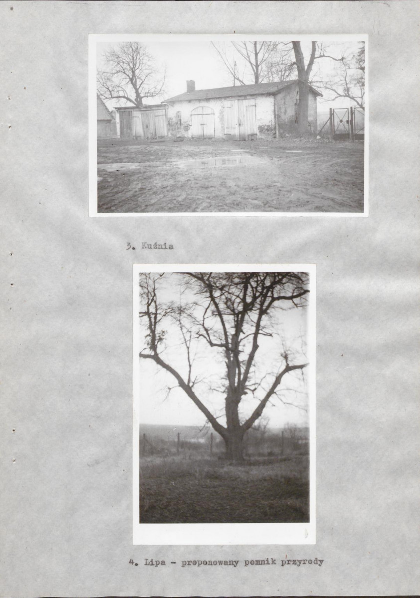 Ewidencja parkowa, skan nr 20
