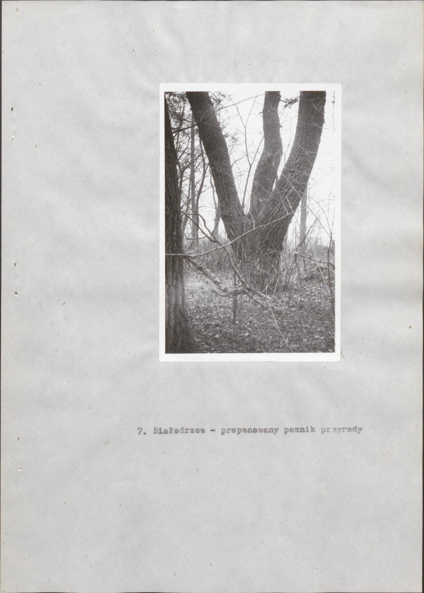 Ewidencja parkowa, skan nr 23