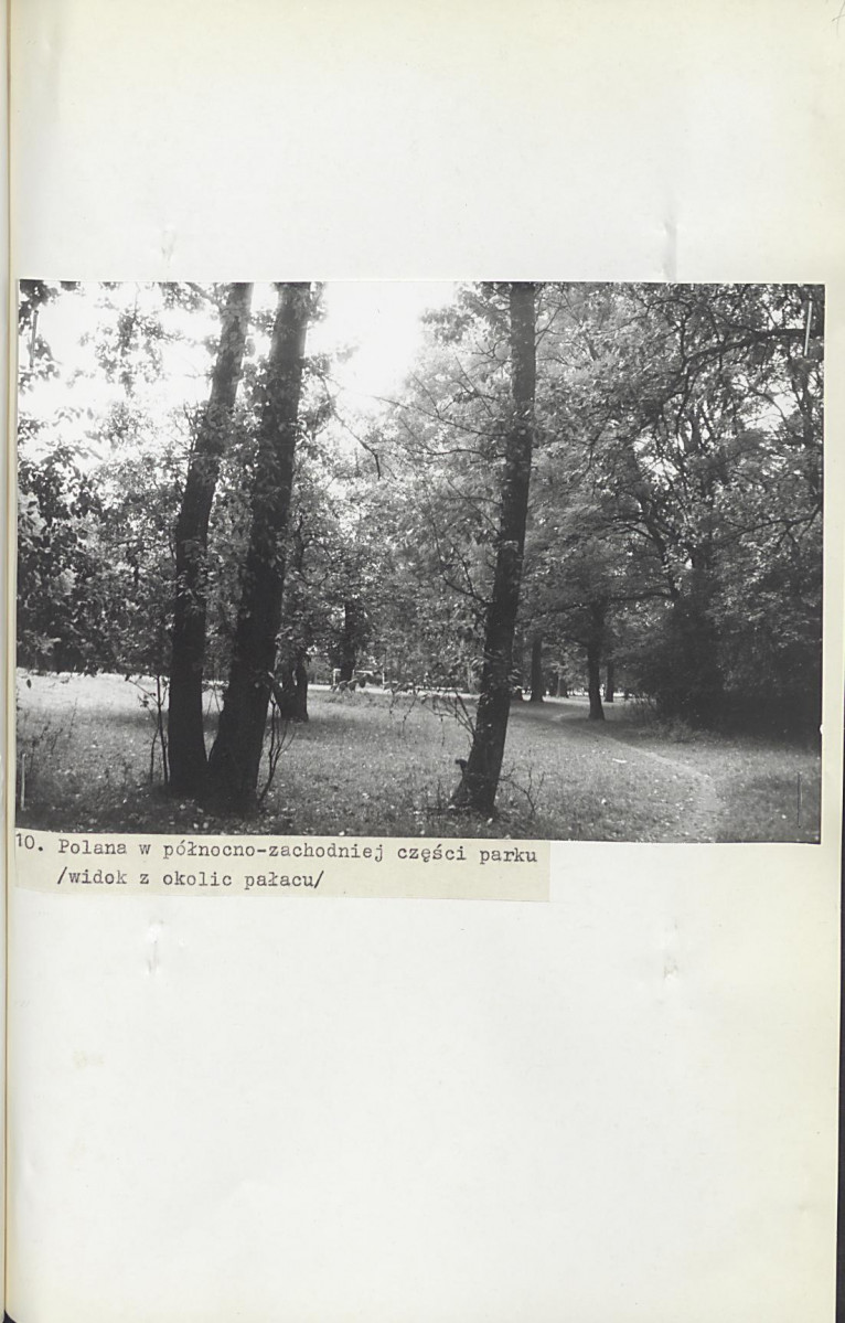 EP - Ewidencja parkowa, skan nr 40